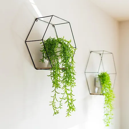 Lux Giewont View Droga Do Walczakow 30 By Rentilopl * Zakopane