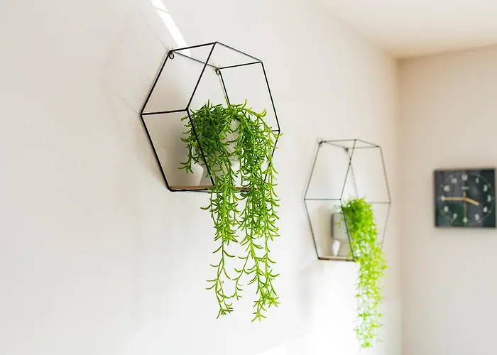 Lux Giewont View Droga Do Walczaków 30 By Rentilopl * Zakopane