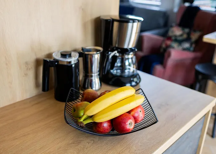 Apartamento Lux Giewont View Droga Do Walczaków 30 By Rentilopl